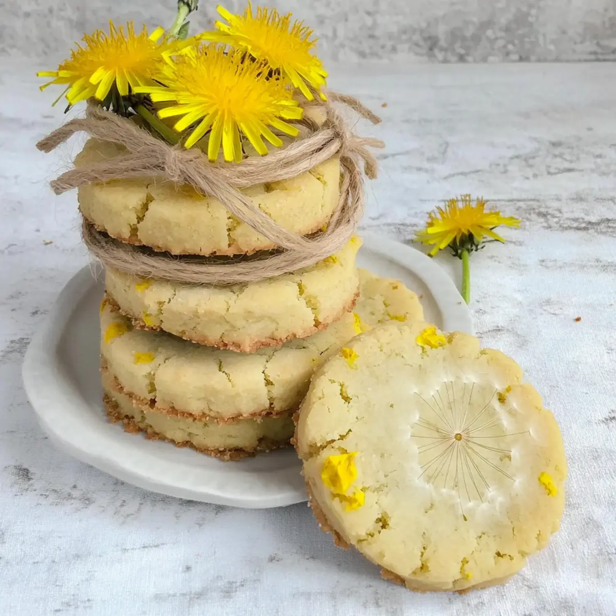 d0ee5a22 c6ad 417b 9e1f 29ea6098cfa0bl g2vh2o