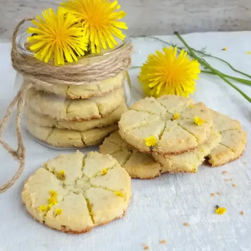 Dandelion Cookies