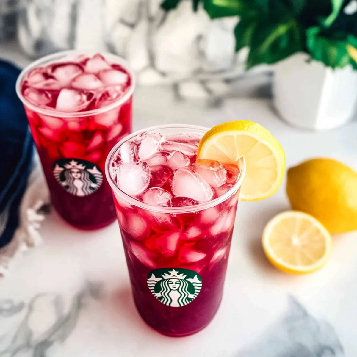 unnamed file 543